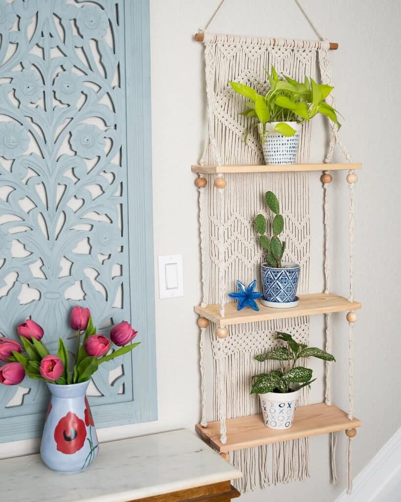 Knotted Rope Shelf and Planter Display