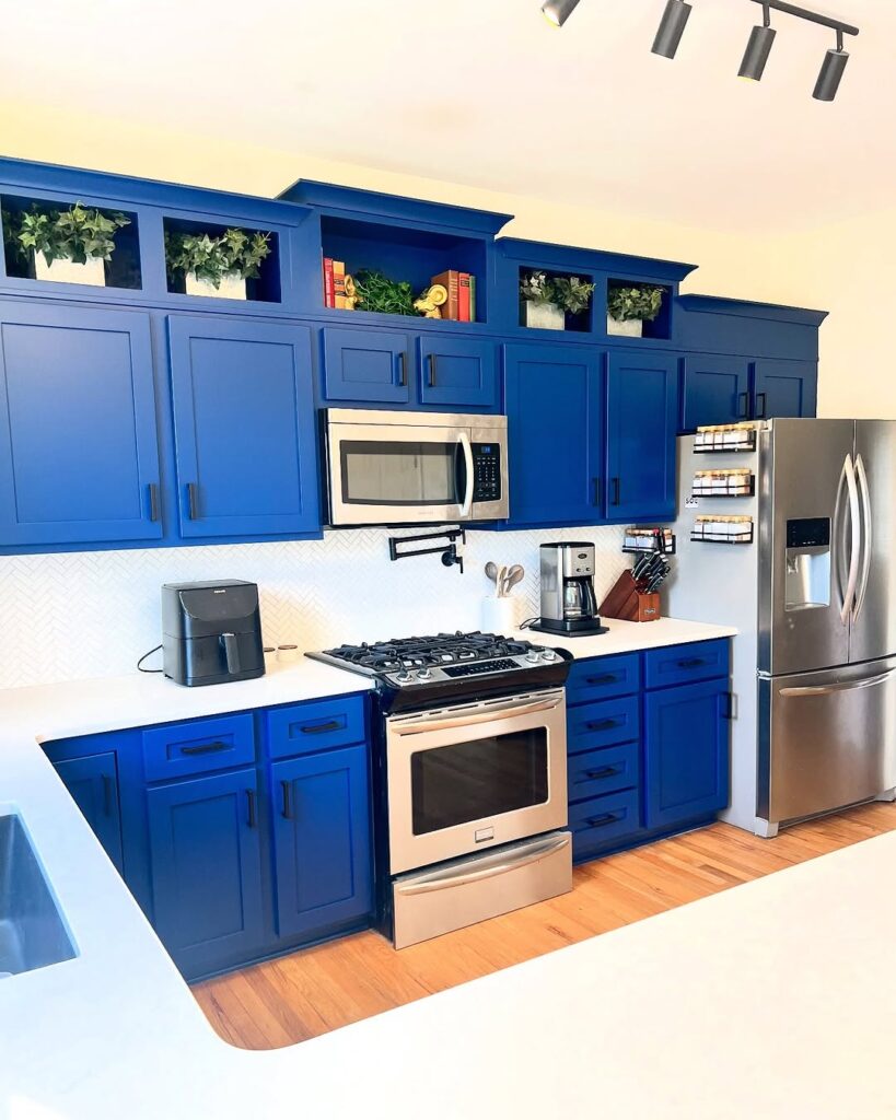 Cobalt Blue Stainless Steel Kitchen