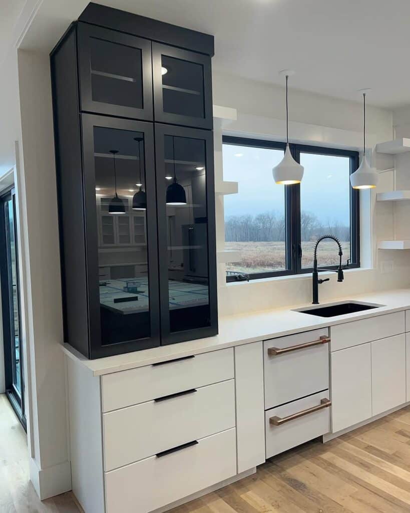 Glass Front Black Cabinets
