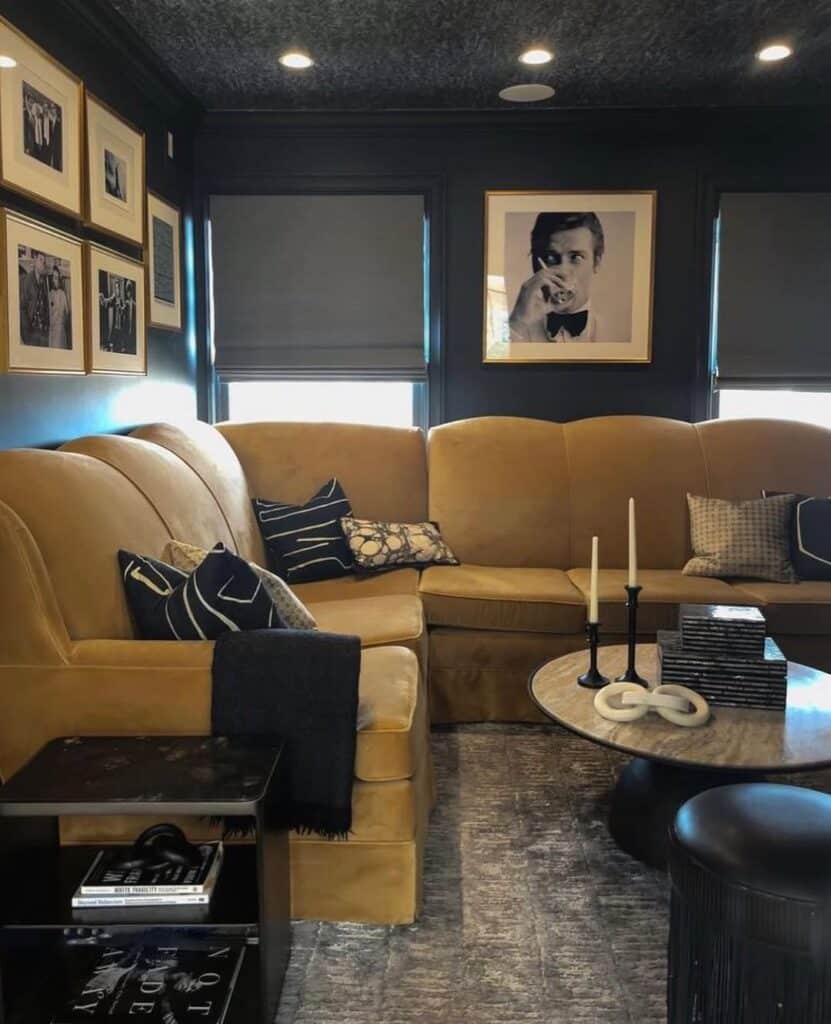 Gold Brown and Black Velvet Living Room