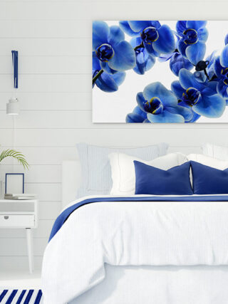 Here’s Why Hamptons Style is Perfect for Casual Coastal Living