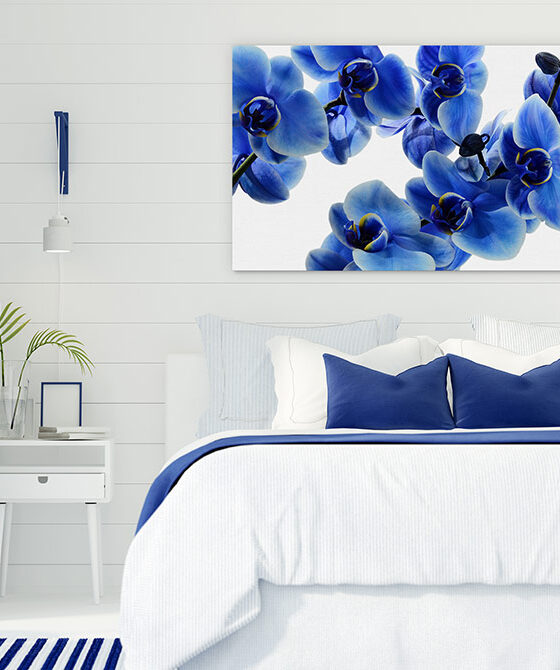 Here’s Why Hamptons Style is Perfect for Casual Coastal Living