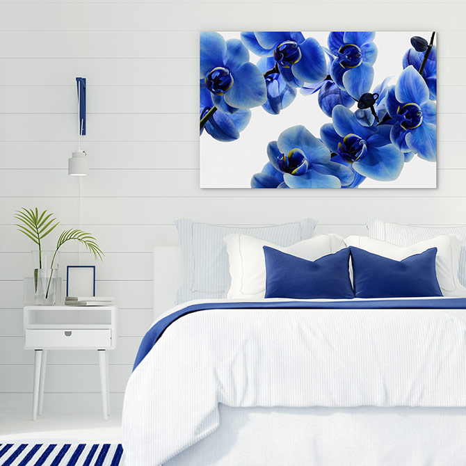 Here’s Why Hamptons Style is Perfect for Casual Coastal Living