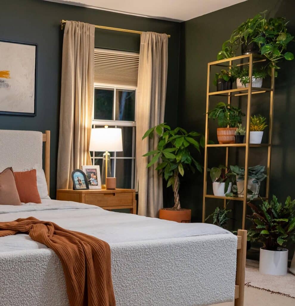 Dark Green Plant Shelf Bedroom