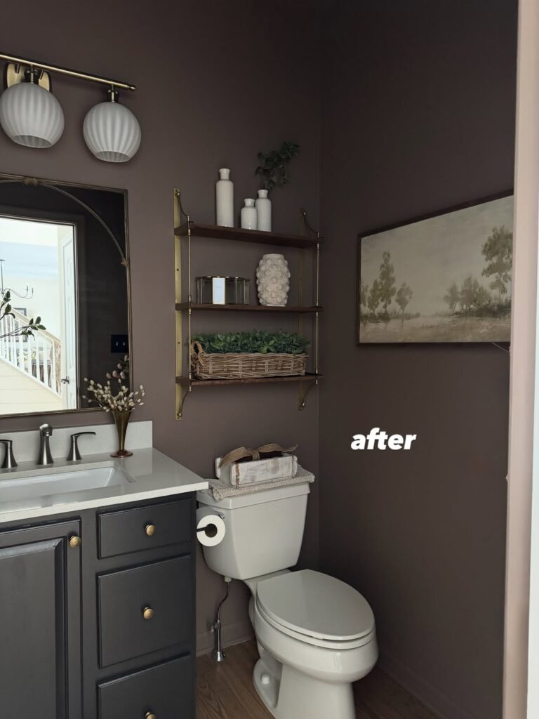 Cocoa Shiplap Powder Room