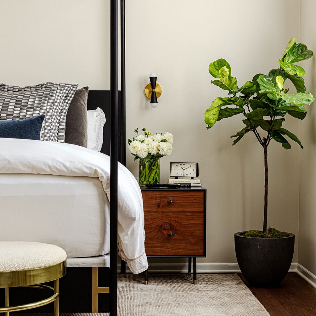 Minimalism with Soft Power