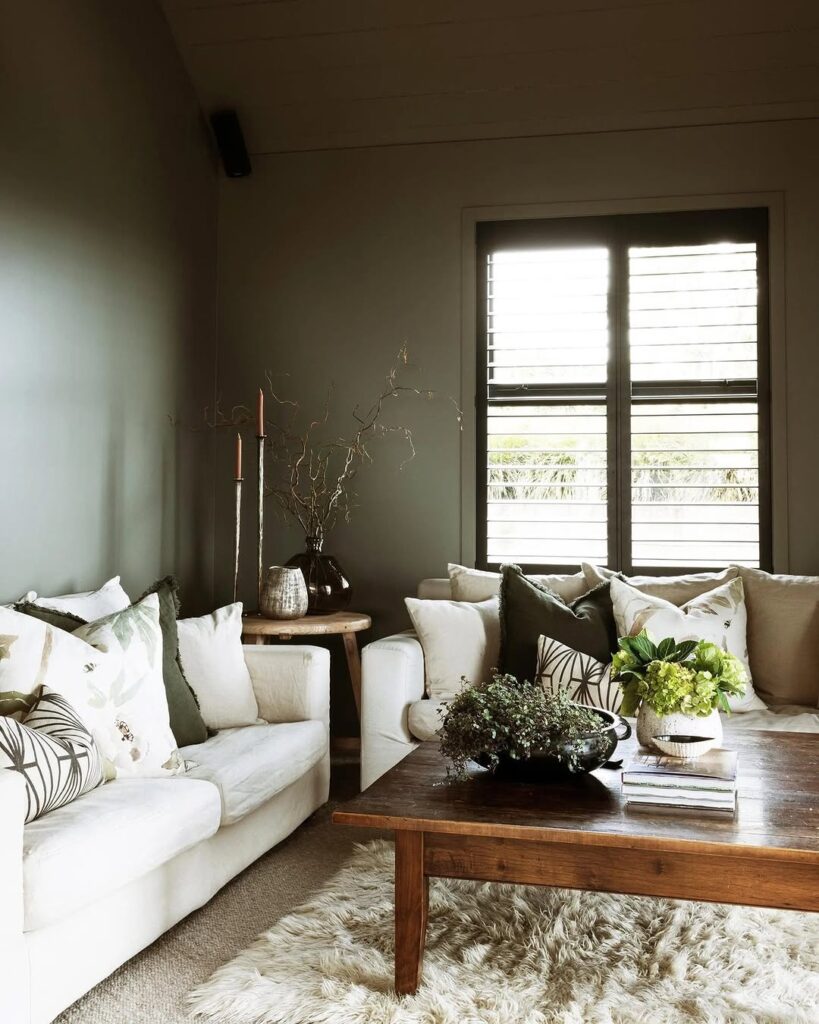 Muted Olive Wall