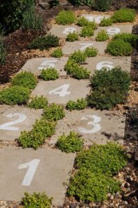 25 Decorative Stepping Stone Ideas for Your Garden