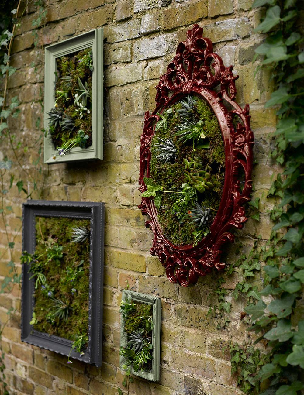 Plant Picture Frame