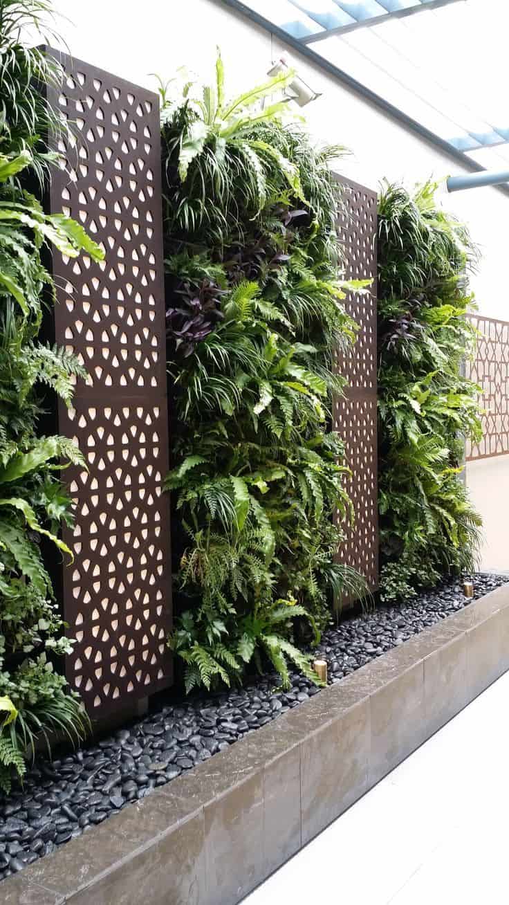 plant wall