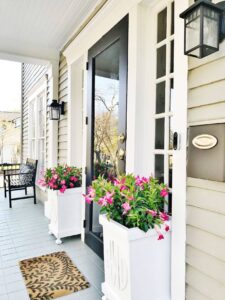 15+ Fabulous Front Door Flower Pot Ideas