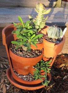 25 Succulent Garden Ideas for Small Spaces