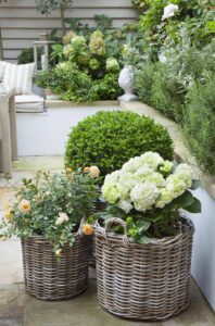 15+ Fabulous Front Door Flower Pot Ideas