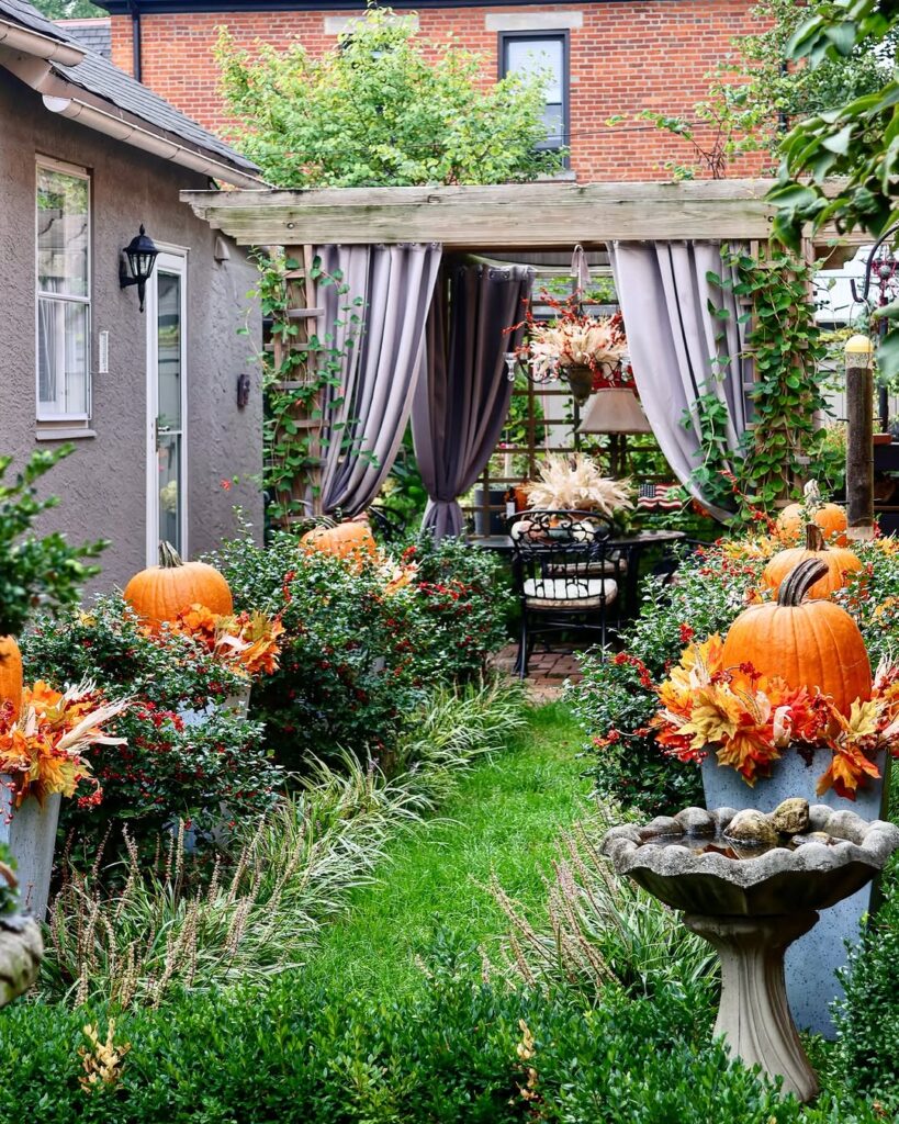 Elegant Pumpkin Garden Walk
