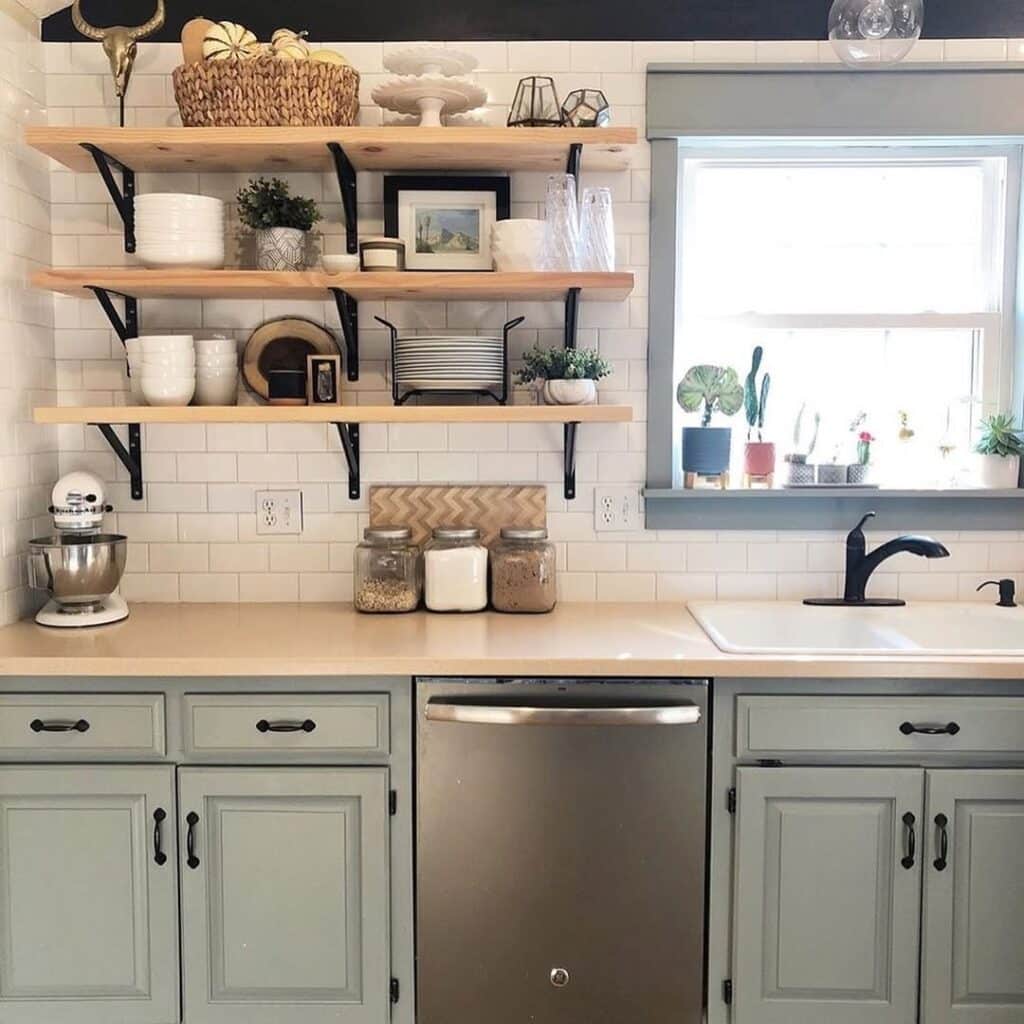 Sage Shelves in Sunlight