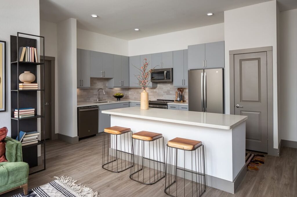 Grey Cabinetry Integrated Appliances