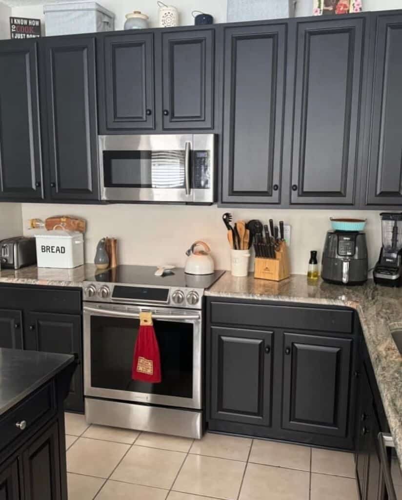 Classic Black Cabinetry with Raised Panels