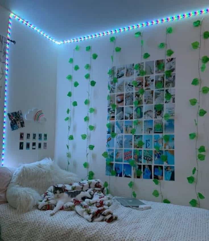 Rainbow Nook Lighting and Ivy Collage