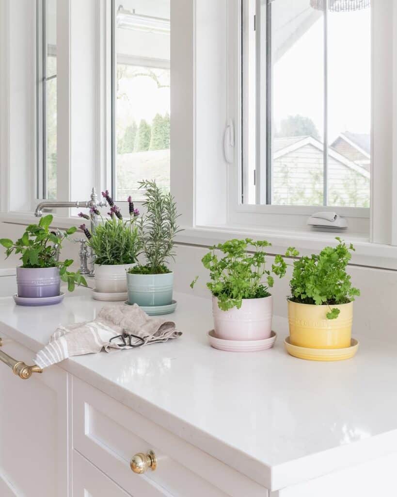 Integrated Herb Garden