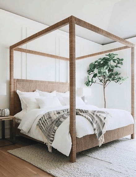 Bare Canopy Bed