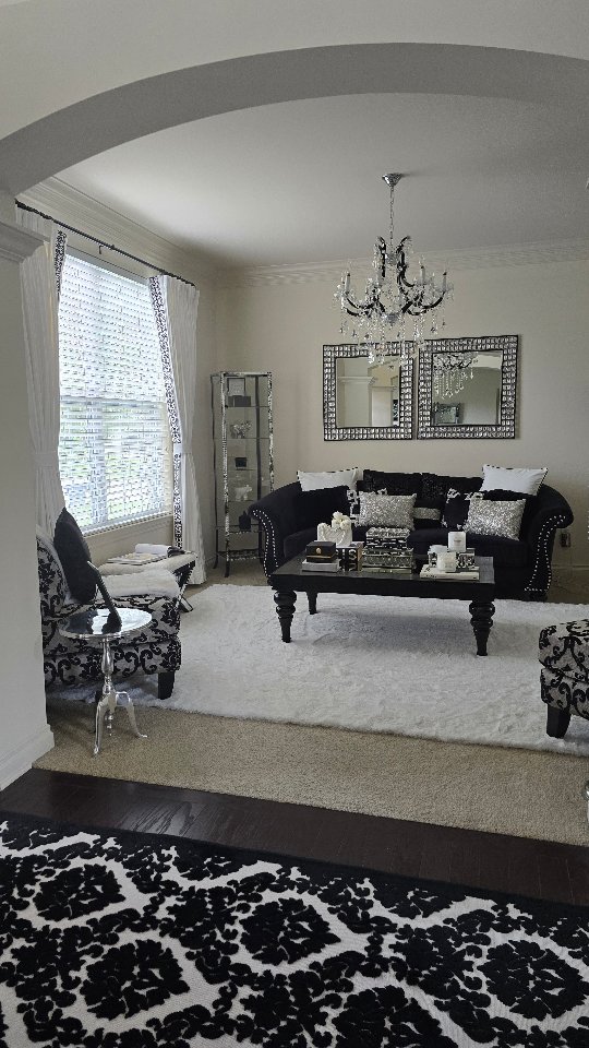 Classic Black with Silver Trim