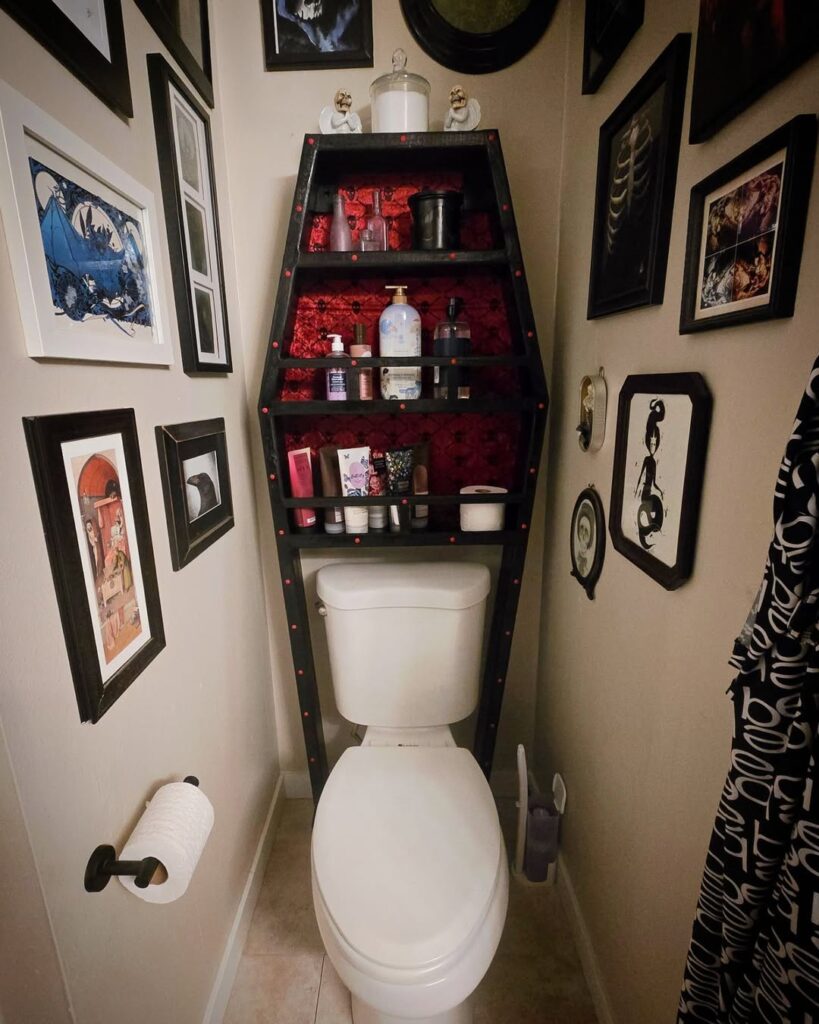 Coffin-Shaped Unit Above the Toilet