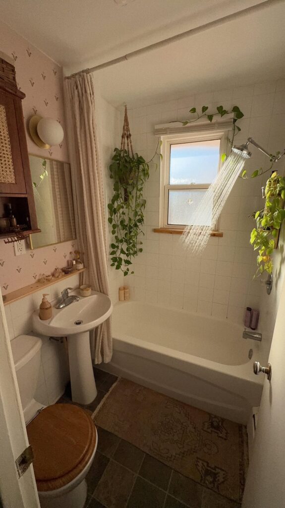 Compact Hanging Pothos Nook