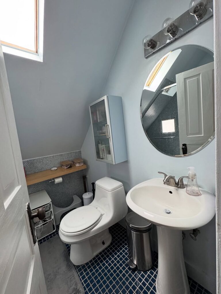 Compact Powder Room With Skylight