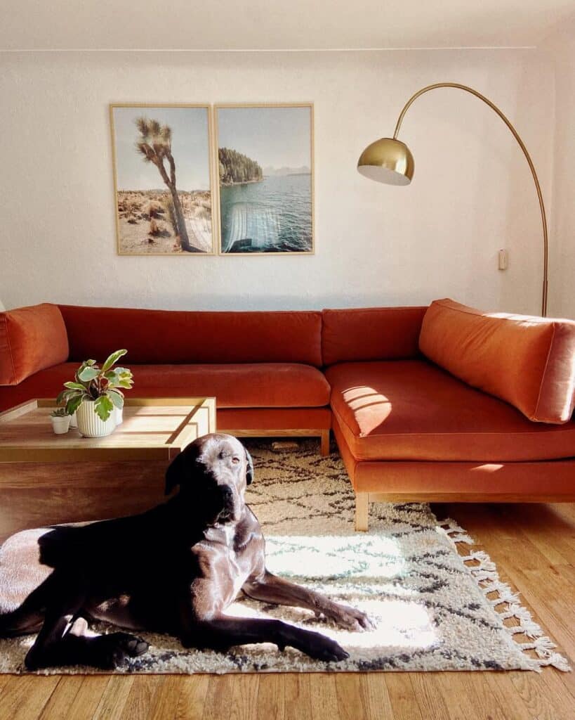 Desert Style Orange Sectional for Natural Light
