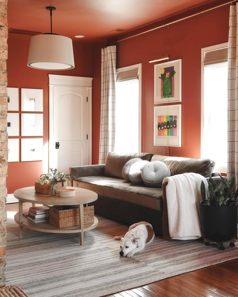 Earthy Neutrals Around a Terracotta Shell