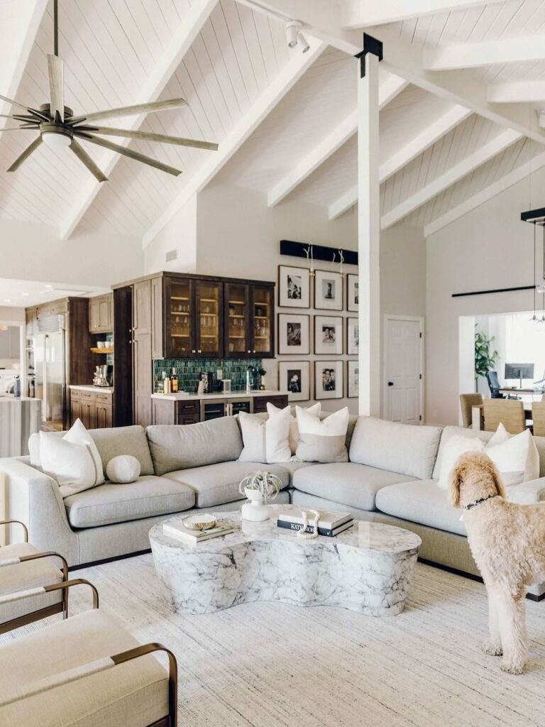Farmhouse Living Room With Vaulted Ceiling and Modern Accents