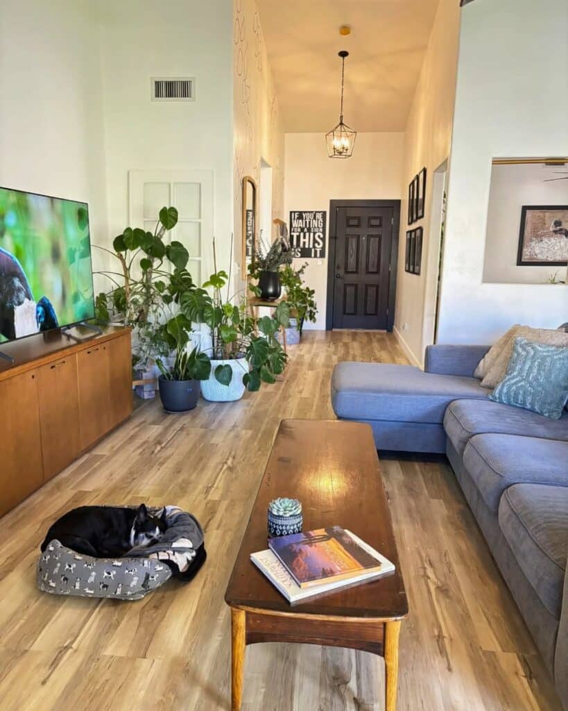 Greenery in Modern Living