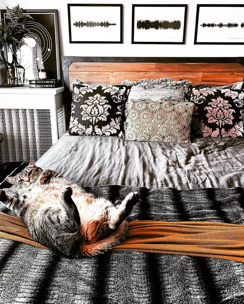 Industrial Gothic Damask Accents