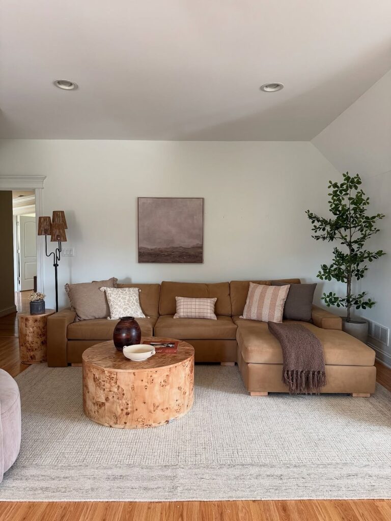 Living Room with Birchwood Accents and Taupe