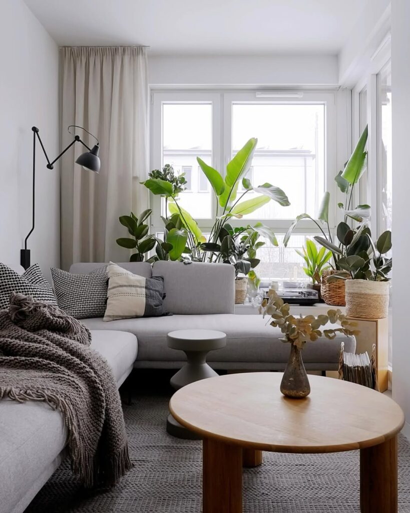 Nordic Greenery by a Sunlit Sofa