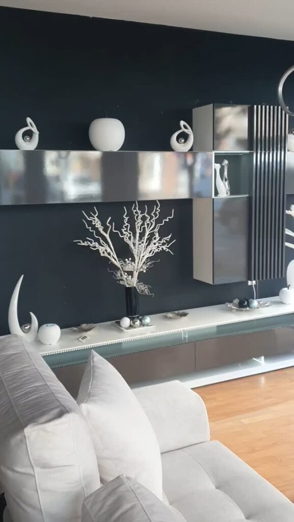 Sleek Silver on Jet Black