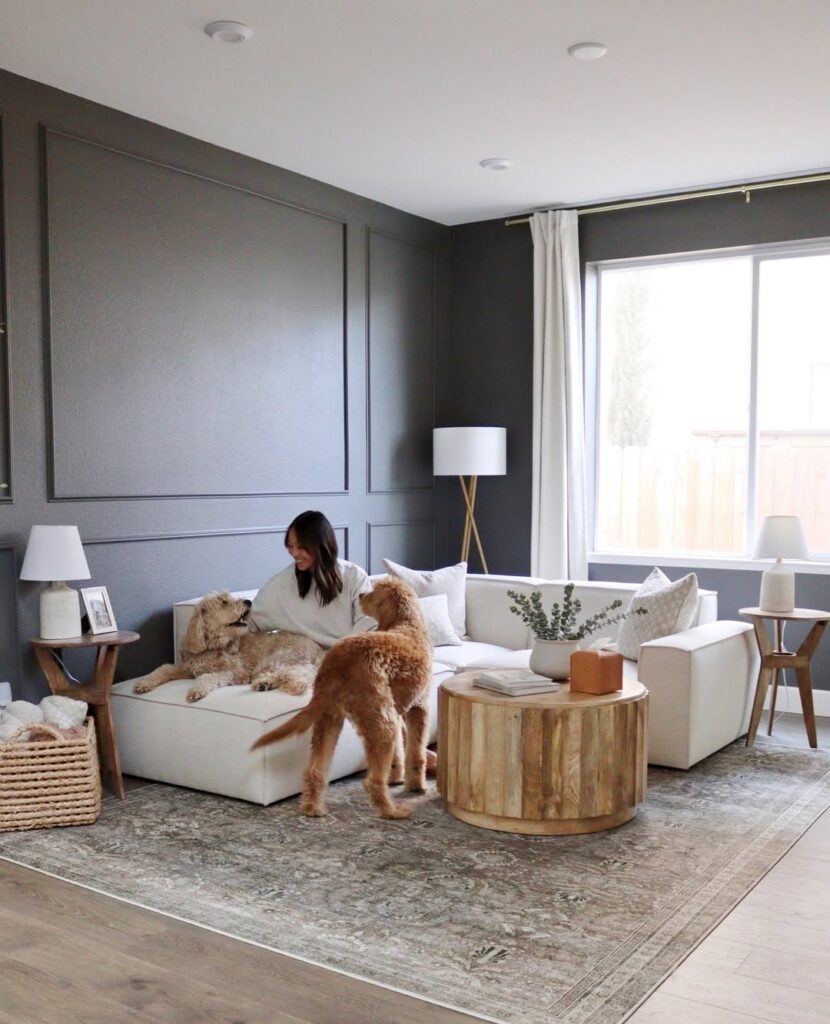 Soft Charcoal Paneled Living Room