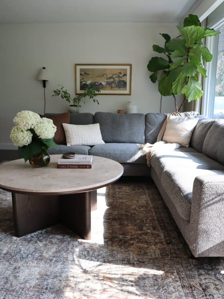 Soft Organic Charcoal Sectional