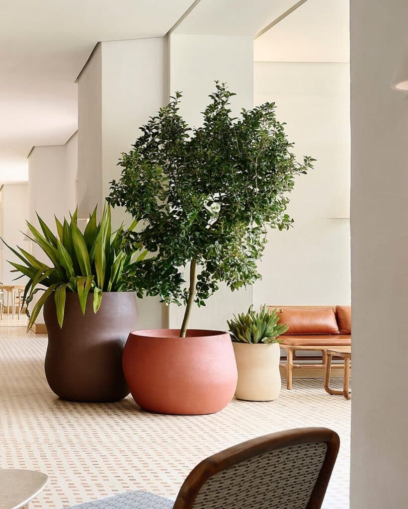 Tall Plants and Two-Tone Planters