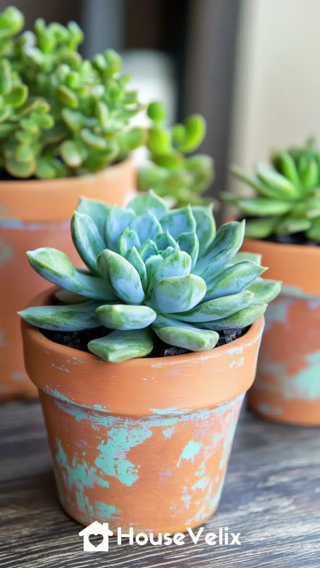 Hand-Painted Terracotta Pots with Succulents