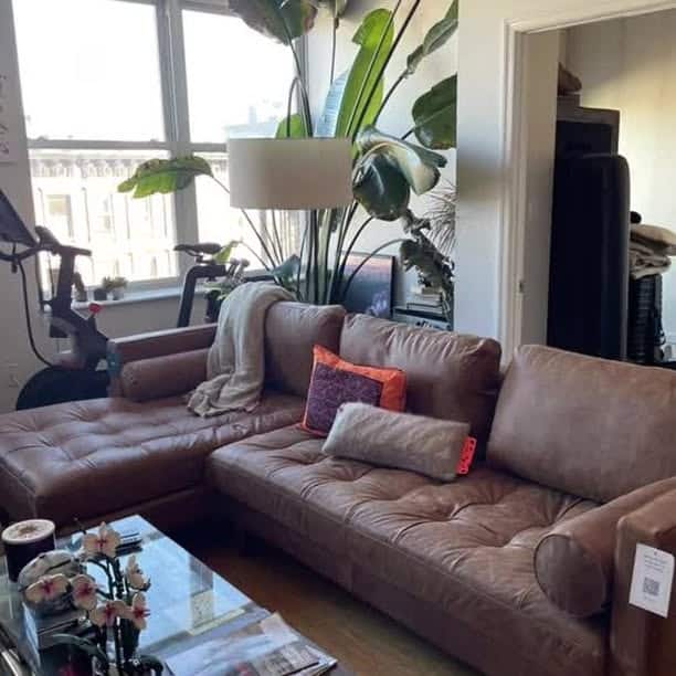 Urban Brown Couch Living Room