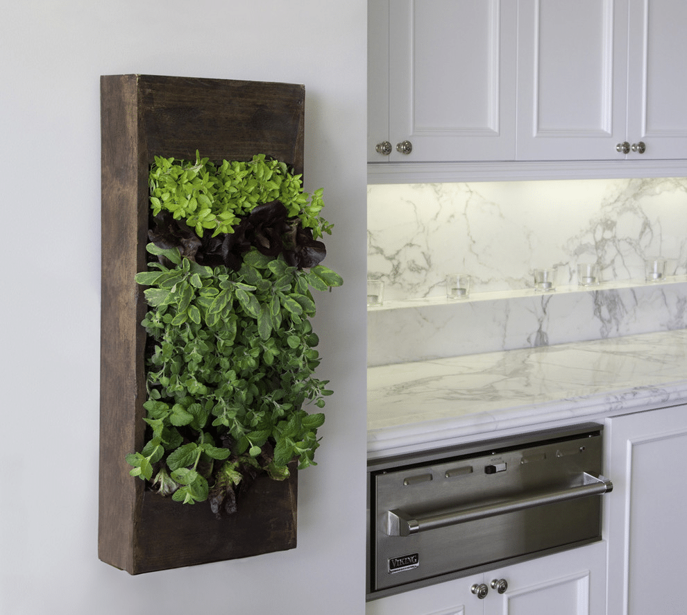 Vertical Herb Garden