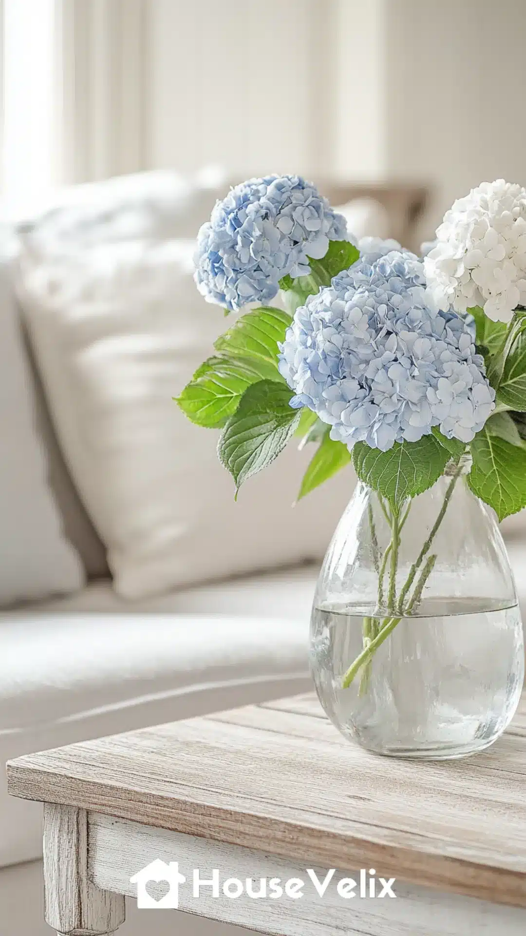 Whitewashed Wooden Side Table with Vase of Fresh Hydrangeas