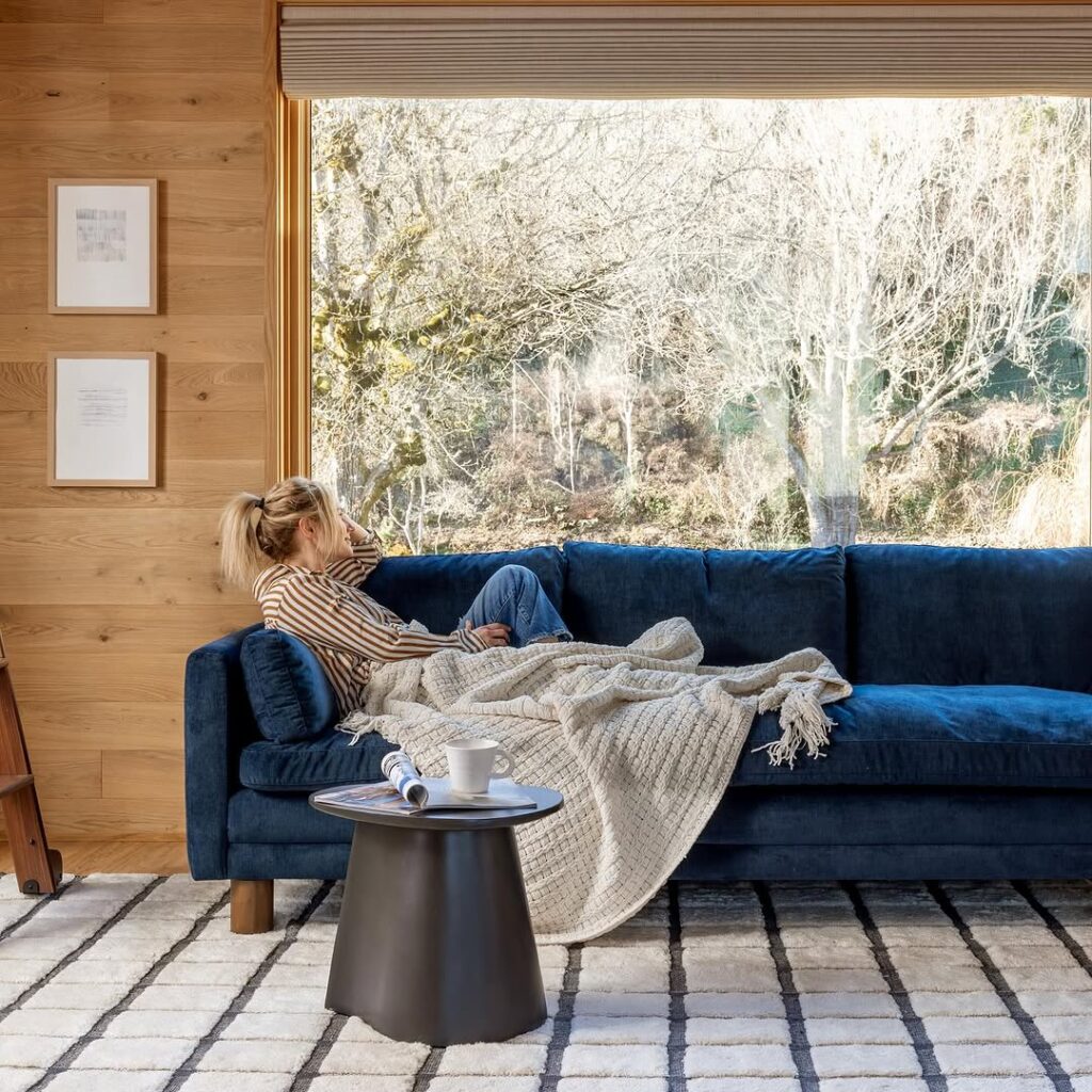 Woodland Room with a Deep Blue Couch